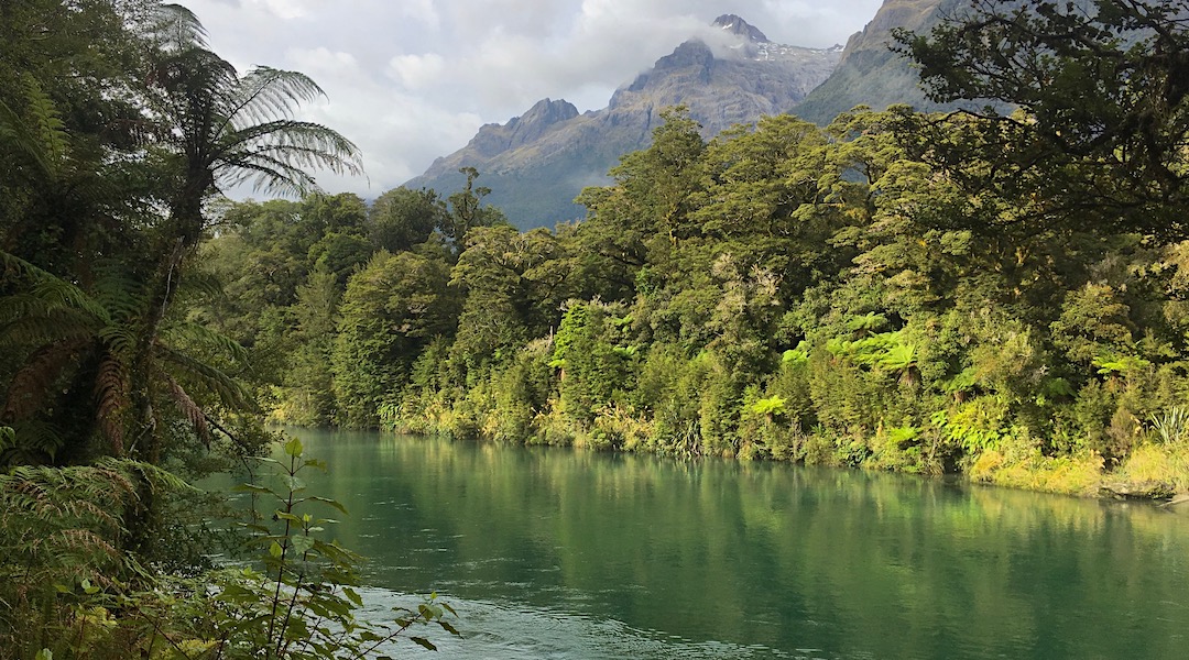 The substantial Hollyford River, with the steep Darran Range behind. | Hollyford track, Fiordland National Park