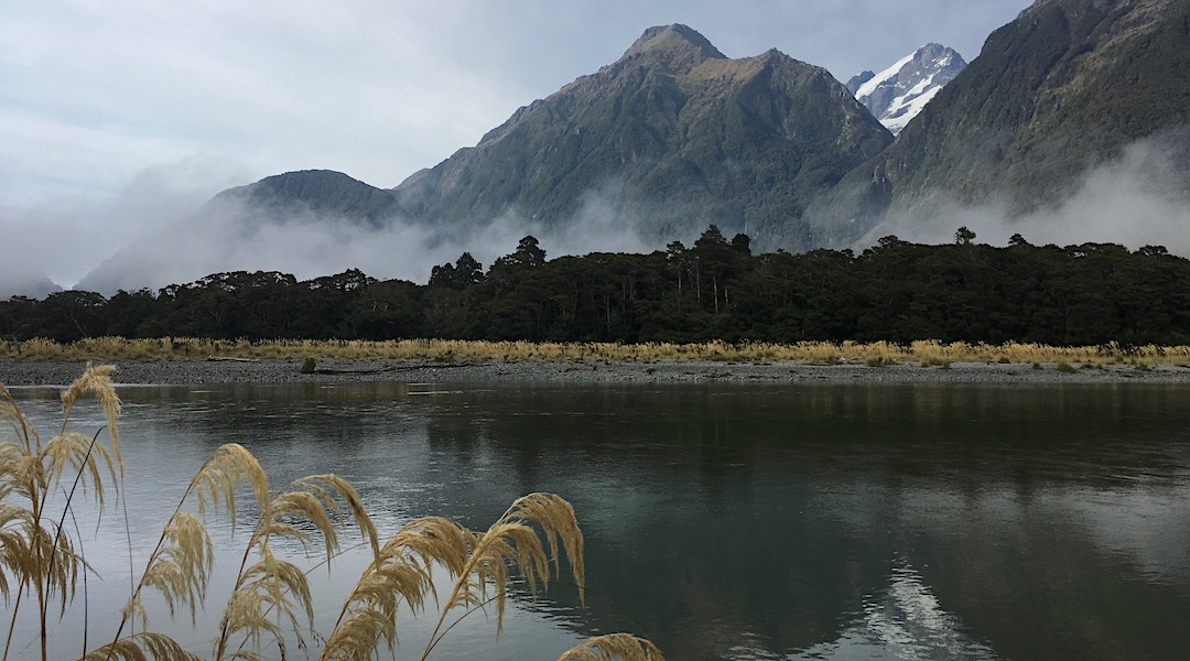 That's McKerrow Island where you cross to the hut. The river is down substantially in the morning. | Hollyford Track, Fiordland National Park