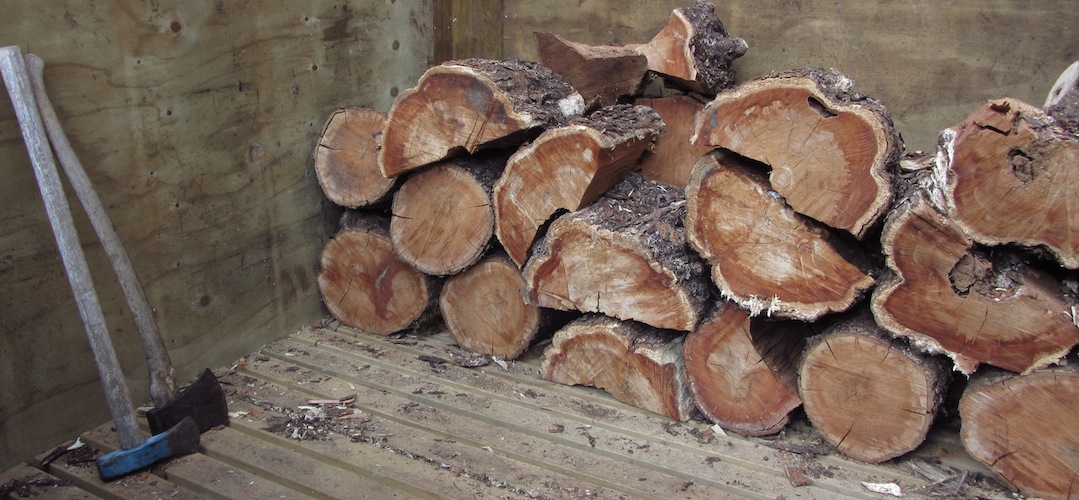 Venus Hut woodshed in Kahurangi National Park
