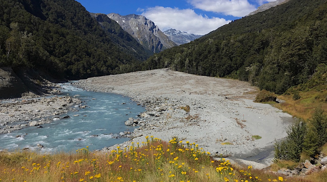The Dart River valley. | Rees-Dart Track, Mt Aspiring National Park