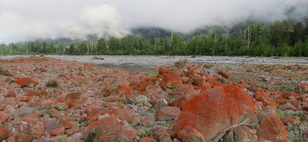 Taramakau River, Harper Pass route , West Coast