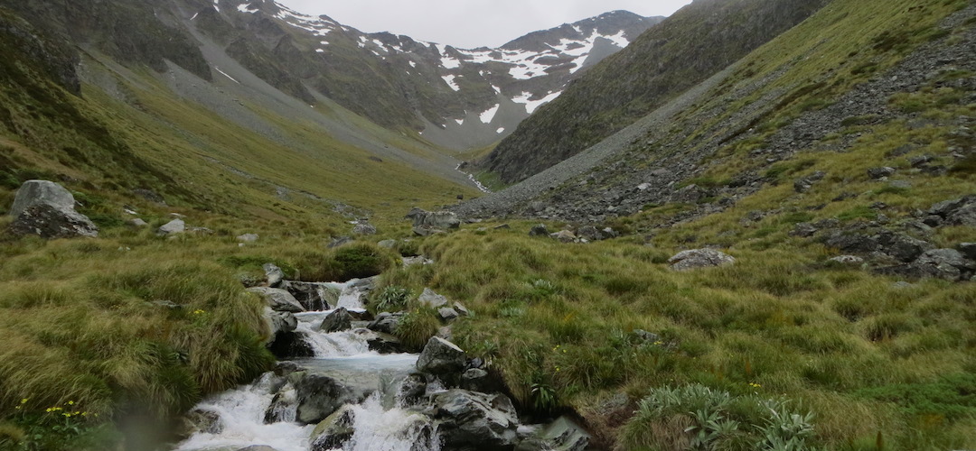 Three Tarn Pass route, Nelson Lakes National Park