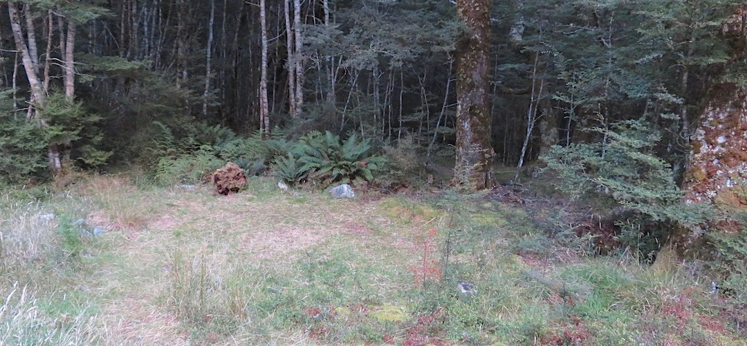 One of the sites. | Campsite, Daley Flat Hut, Rees-Dart Track, Mt Aspiring National Park