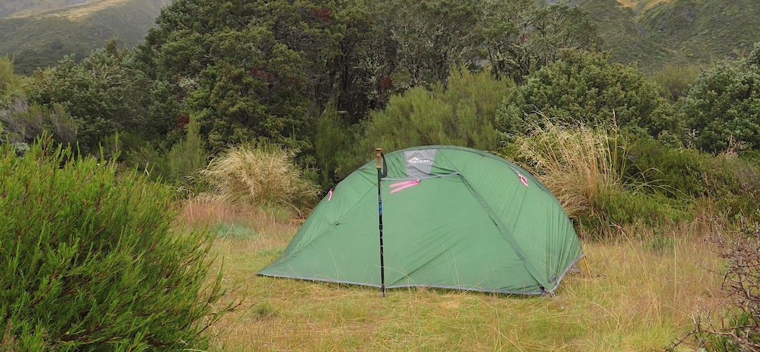 Some shelter from the vegetation. | Campsite, Shelter Rock Hut, Rees-Dart Track, Mt Aspiring National Park