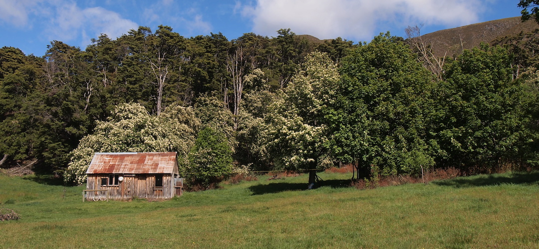 Stanleyvale hut, Stanley River, North Canterbury