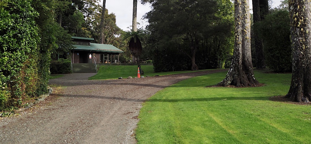 Kahikatea campsite | Pelorus Bridge