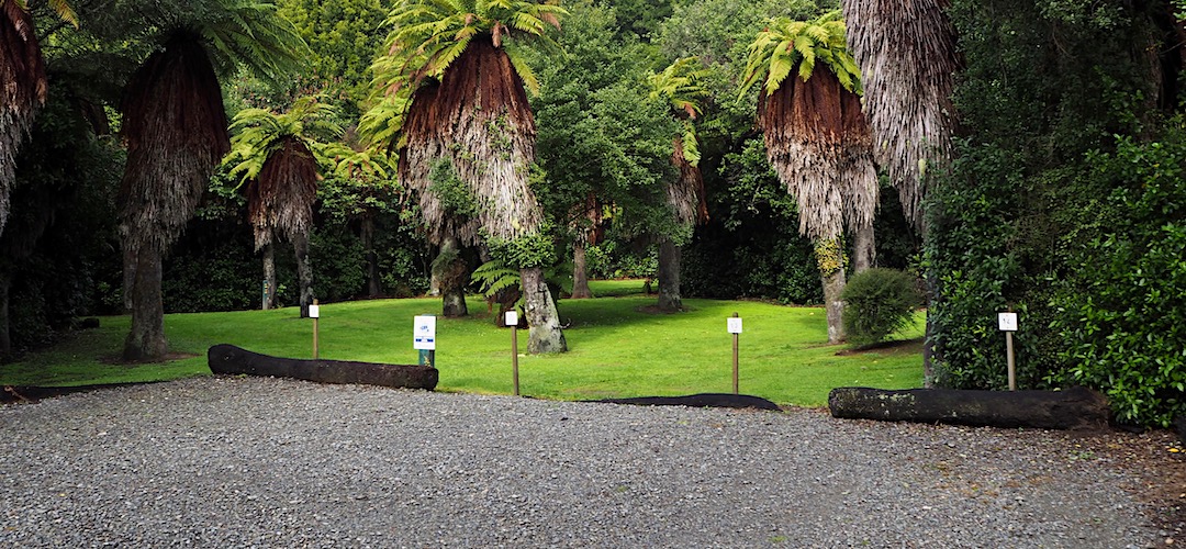 Kahikatea campsite | Pelorus Bridge
