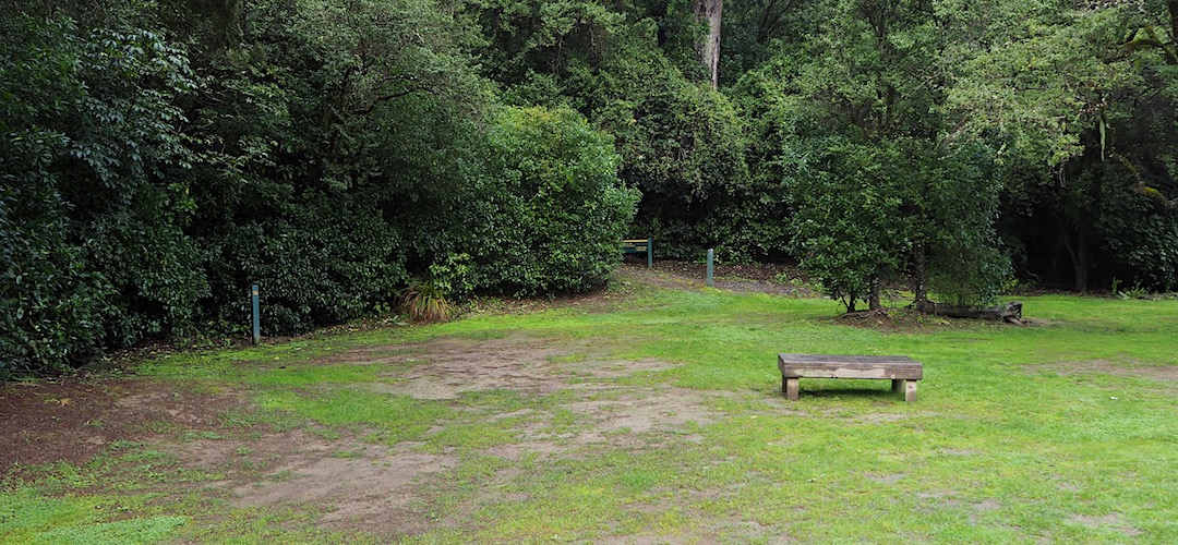 Kahikatea campsite | Pelorus Bridge
