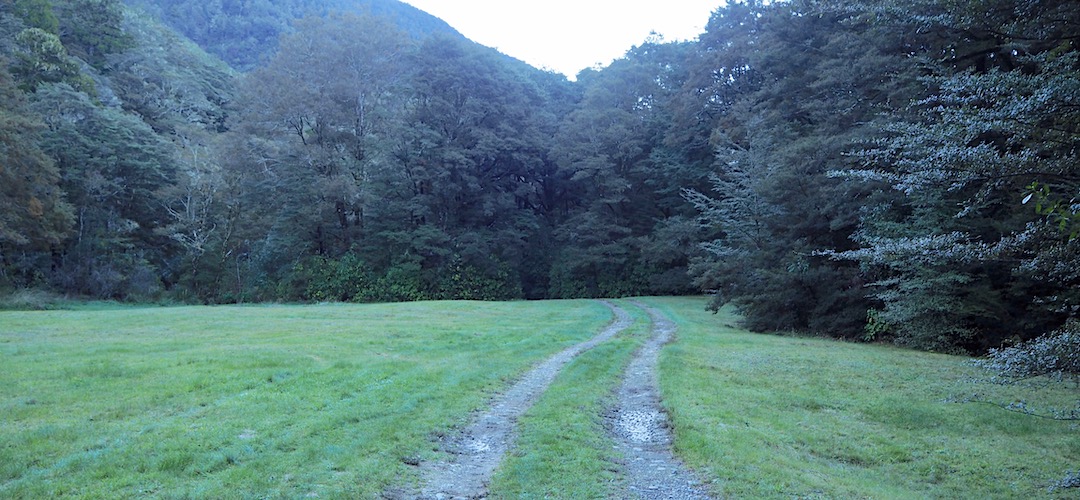 Mill Flat campsite | Mt Richmond Forest Park