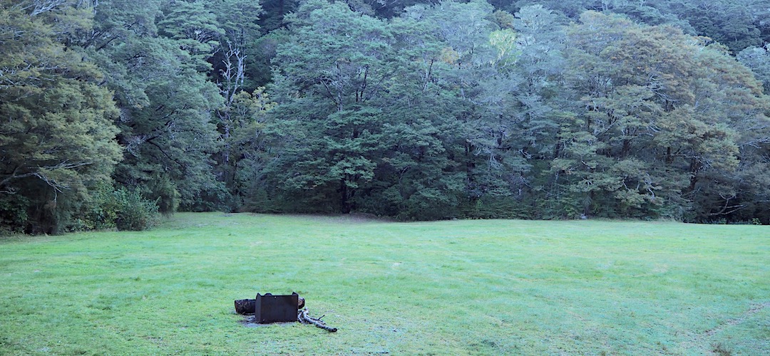 Mill Flat campsite | Mt Richmond Forest Park