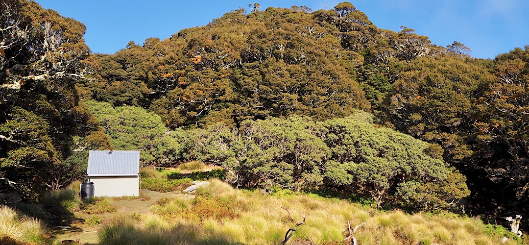 Mt Sunday Bivvy | Mt Richmond Forest Park