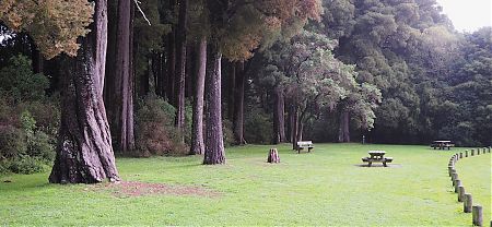 Onamalutu campsite | near Mt Richmond Forest Park