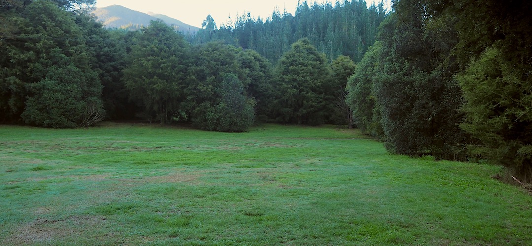 Onamalutu campsite | near Mt Richmond Forest Park
