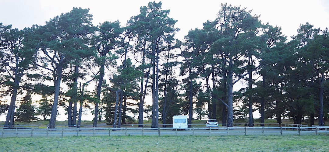 Rarangi campsite | Marlborough