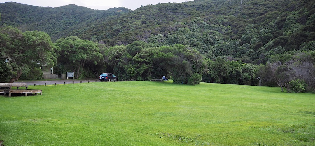 Whites Bay campsite | Marlborough
