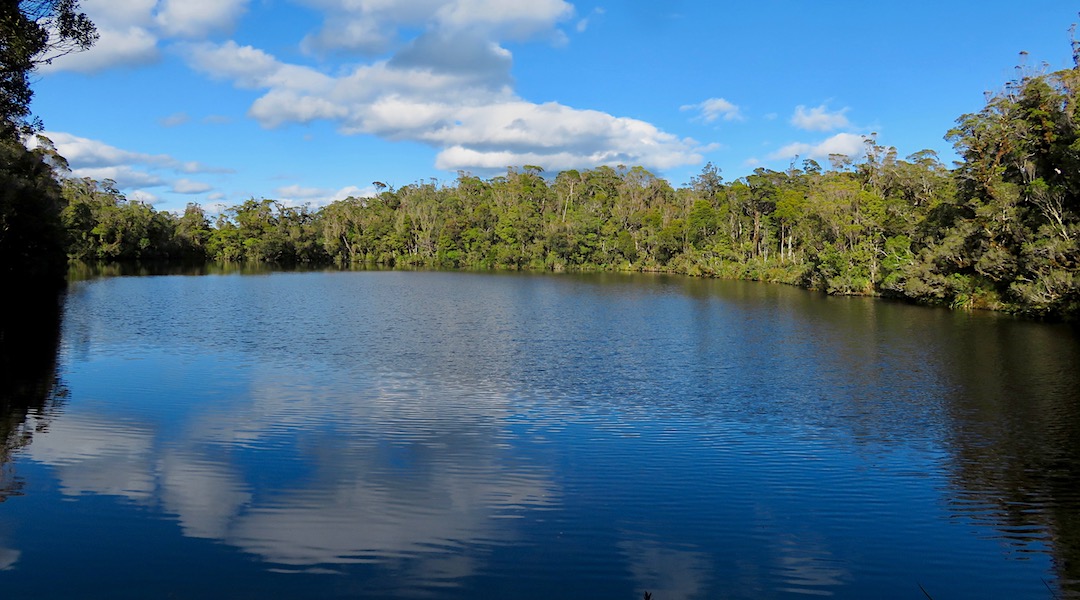 Lake Law, on the top of a hill, is worth a visit from Maori Saddle Hut. | Haast Paringa Cattle Track, South Westland