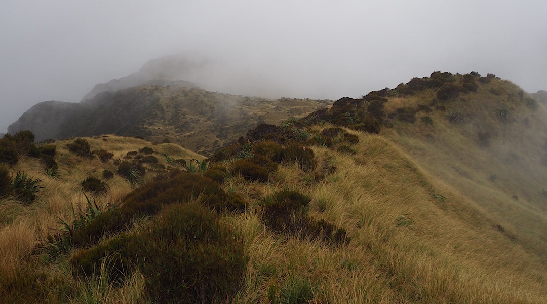 Near Newton Range Bivvy, Newton Range. | Arahura/Styx blog, December 2019