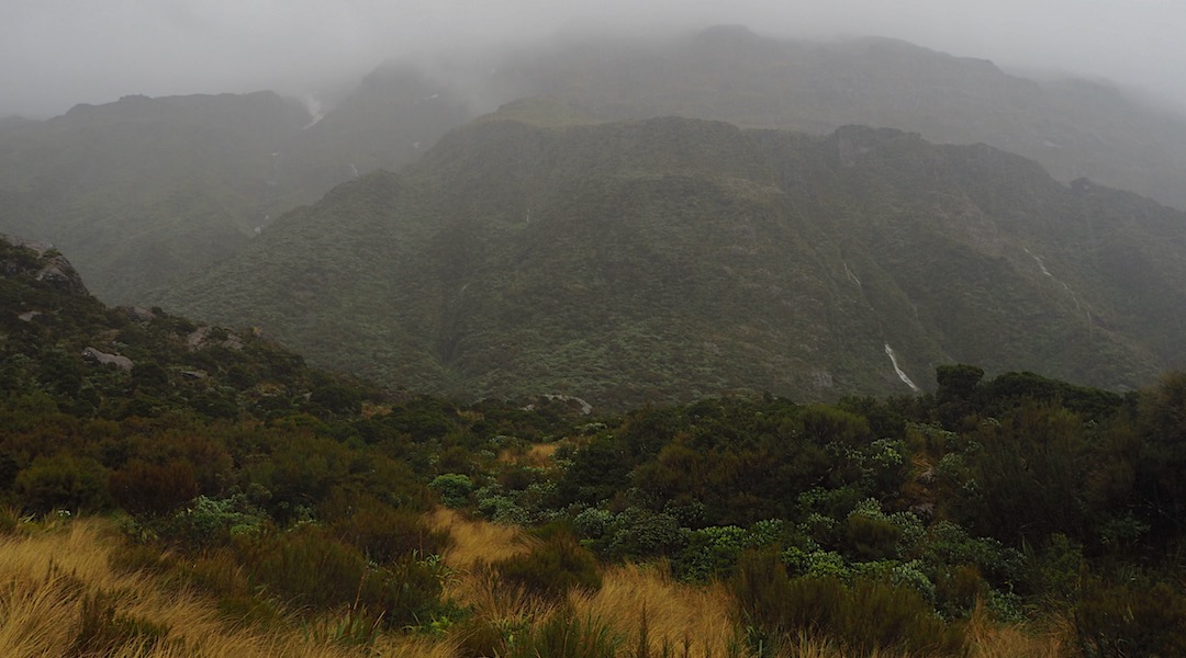 Rain near Harman Hut, Arahura River. | Arahura/Styx blog, December 2019