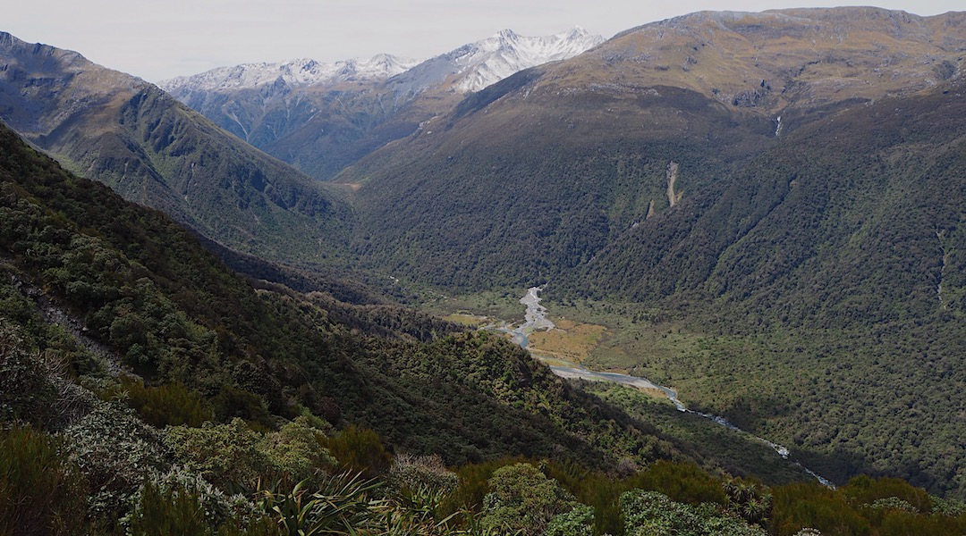 Grassy Flat and Styx River and Saddle from the climb to Newton Range Bivvy. | Arahura/Styx blog, December 2019