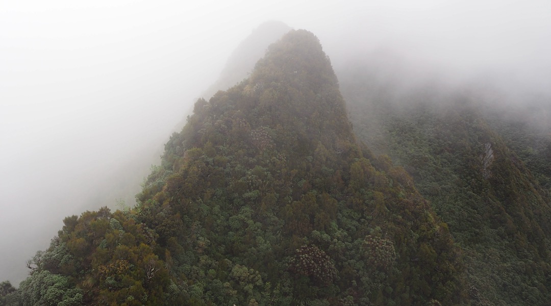 Yeah, you climb up and down all that, all day. Newton Range. | Arahura/Styx blog, December 2019
