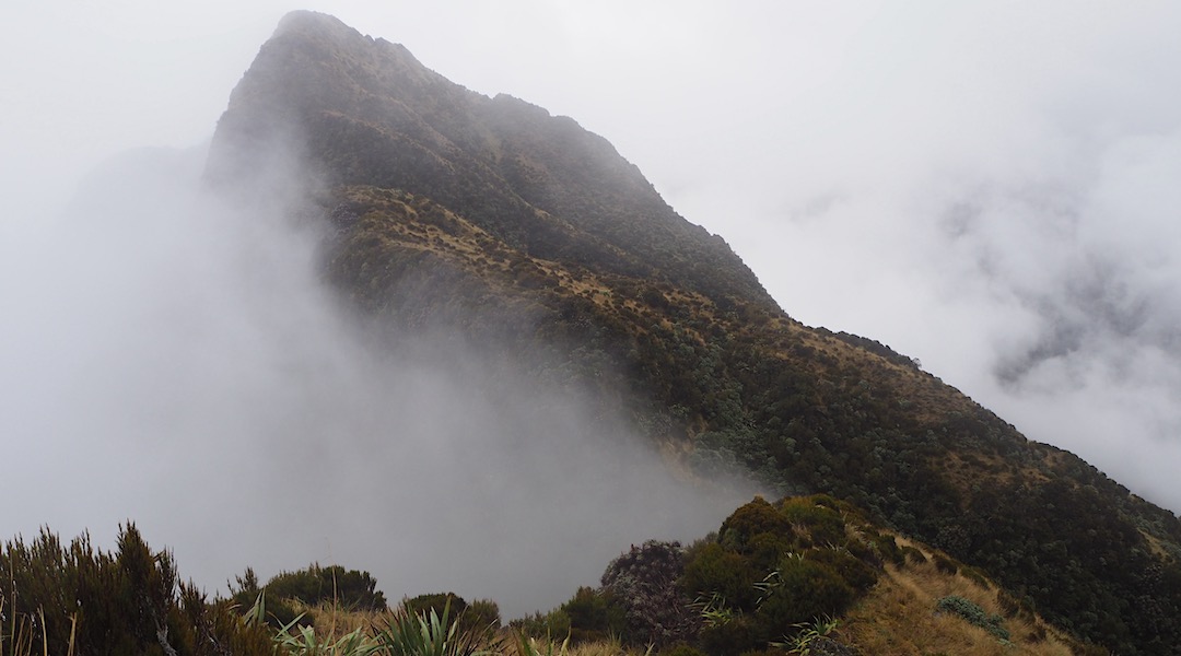The traverse of the Newton Range is not for the faint of heart. | Arahura/Styx blog, December 2019
