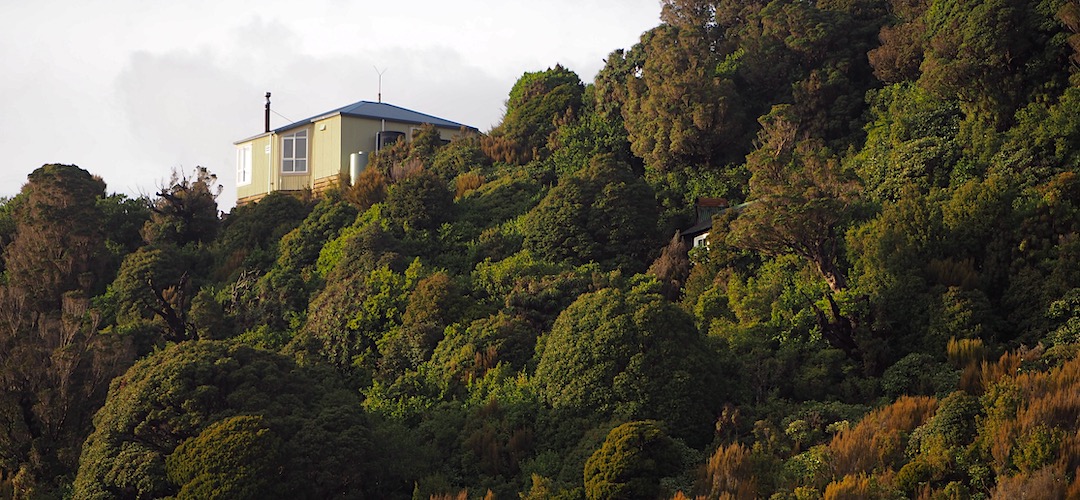 Ces Clarke Hut is located on a ridge with extensive views. | Ces Clarke Hut, Paparoa Great Walk