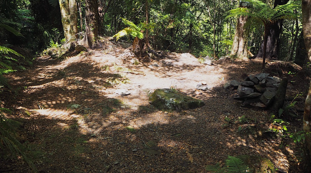 Anatoki Bend campsite | Kahurangi National Park