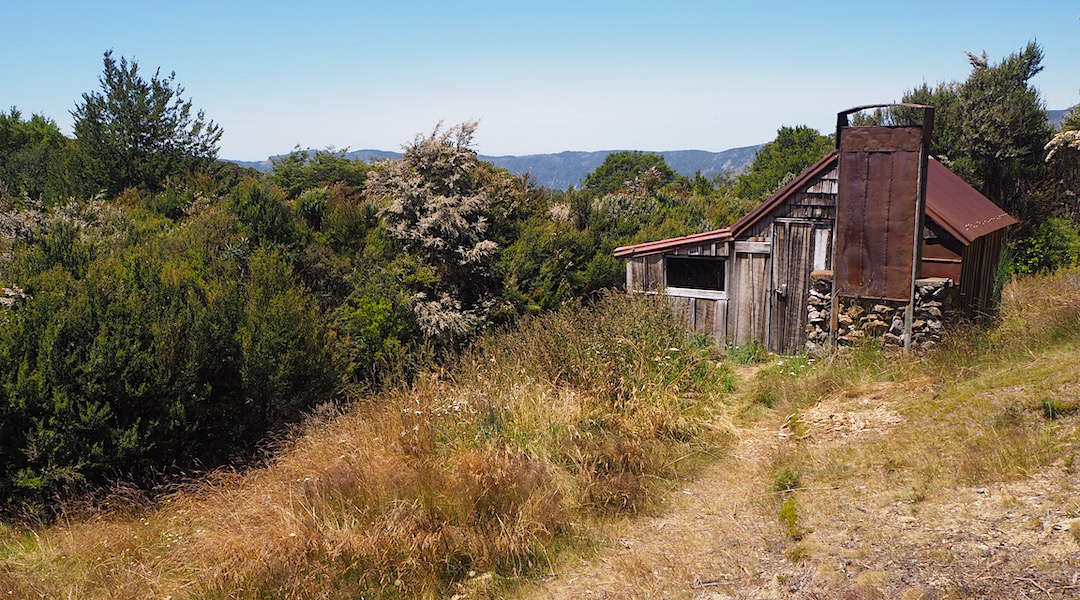 Riordans Hut exterior 1 | Kahurangi National Park