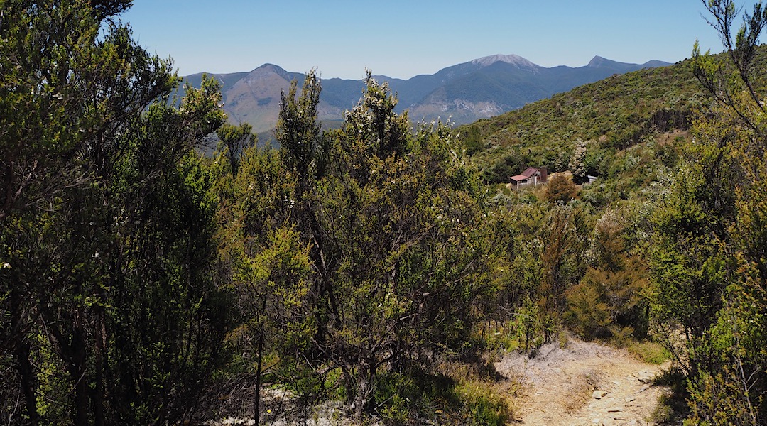 Riordans Hut exterior 2 | Kahurangi National Park