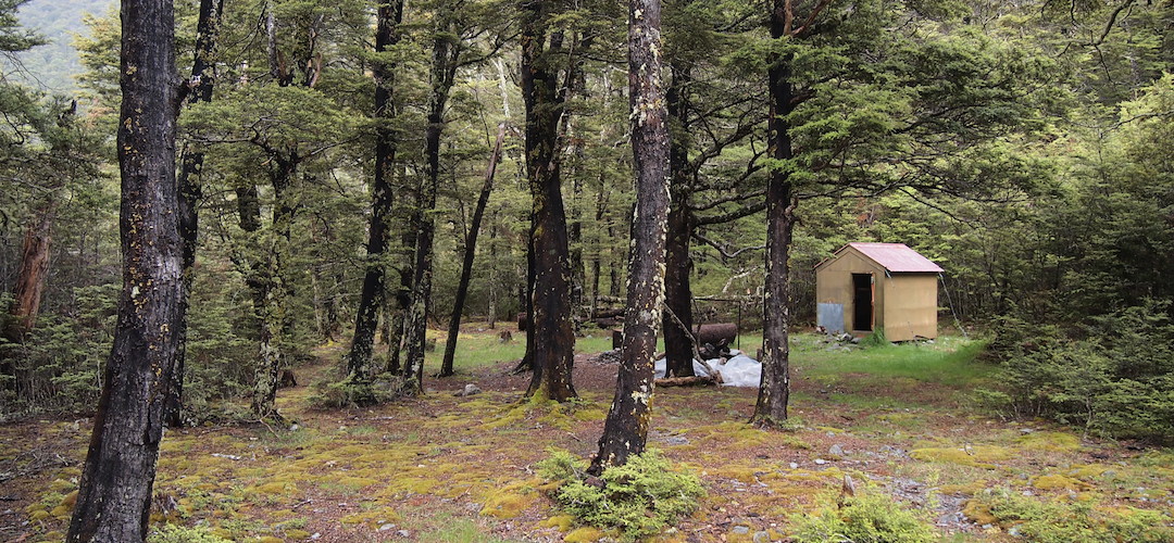 Caroline Creek Bivvy, Waiau River, North Canterbury