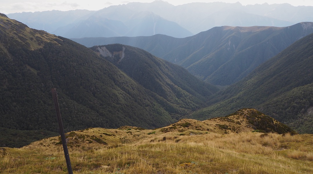 Nardoo Creek with the Ella Range in the distance, from near Nardoo Hut.  | Nardoo Creek, Nelson Lakes National Park