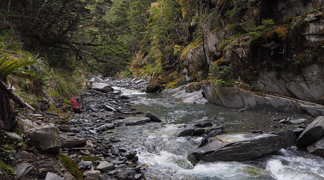Matakitaki Day 3 Burn Creek Hut tramping new zealand