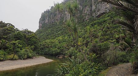 Gorgeous Pororari River Gorge near Punakaiki. | Paparoa Great Walk, West Coast