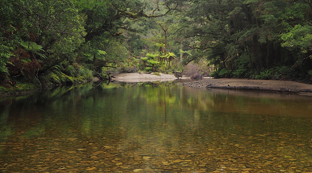Gorgeous Upper Pororari River. | Paparoa Great Walk, West Coast