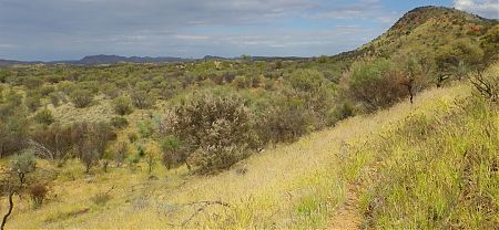 near Simpsons Gap, Larapinta Trail, Central Australia