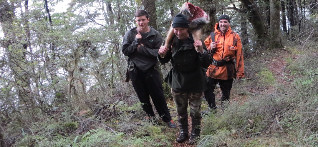 The boys returning the second half of the pig shot yesterday | near D'Urville Hut, Nelson Lakes National Park
