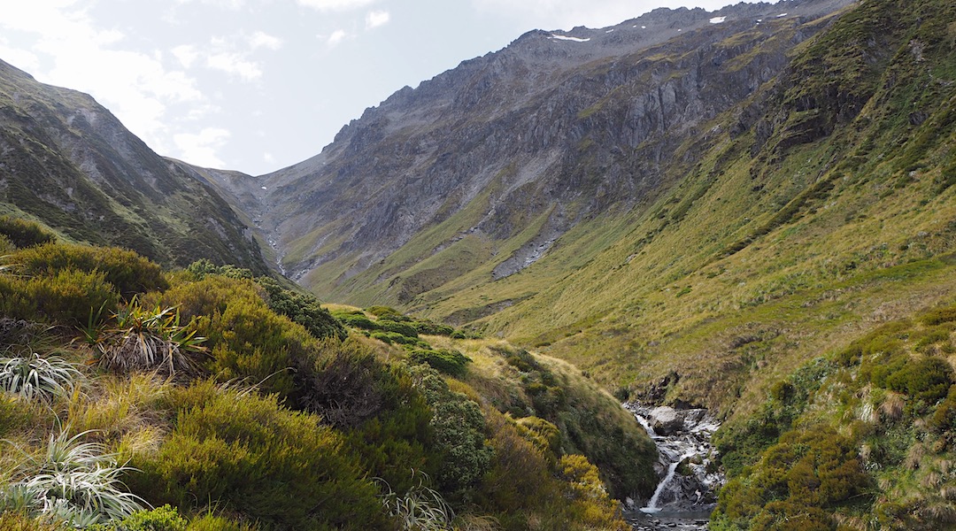 One option is going up the creek. Only one bluff. | Burn/Nardoo Creek Loop, Nelson Lakes National Park