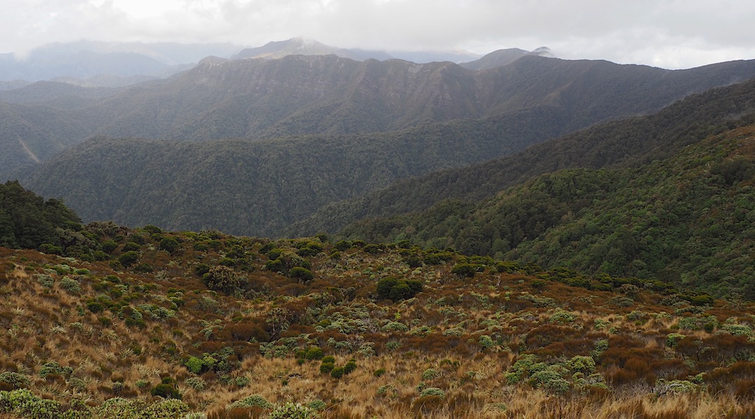 View from Moonlight Tops Hut. | Paparoa Track, Paparoa National Park