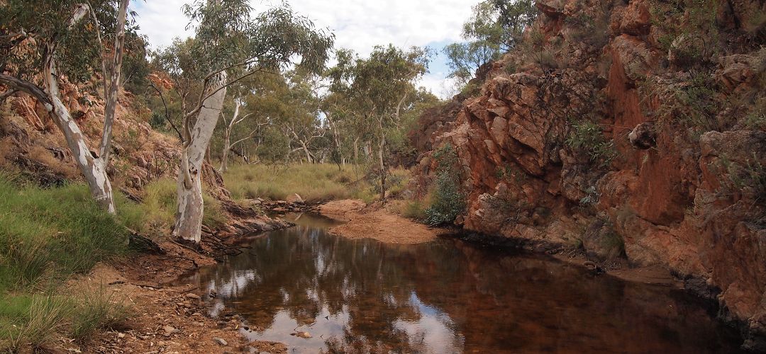 Spring Gap on Larapinta Trail, Central Australia