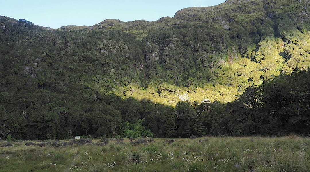 Tiny Lake Stream Biv is a great sight across the clearing. | Lake Stream, Day 1 Arthurs Pass tramp, February 2021
