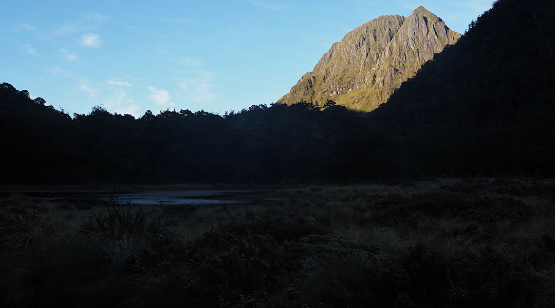 Early morning light near Lake Stream in Victoria Forest Park. | Day 2 Arthurs Pass tramp, February 2021