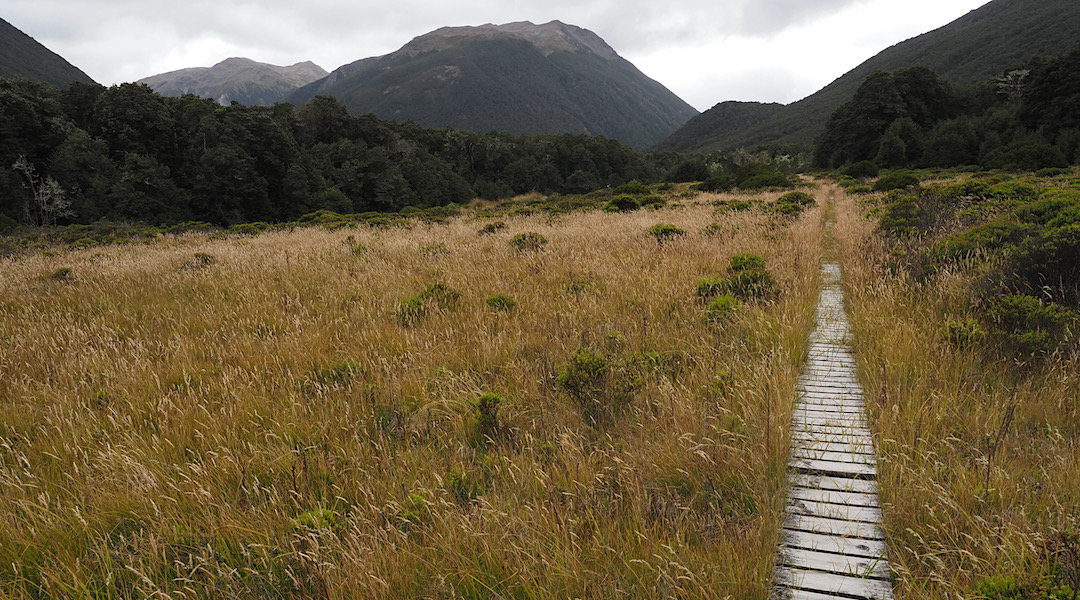 Climbing up to the Casey Saddle, or maybe down. Casey River. | Day 5 Arthurs Pass tramp, February 2021