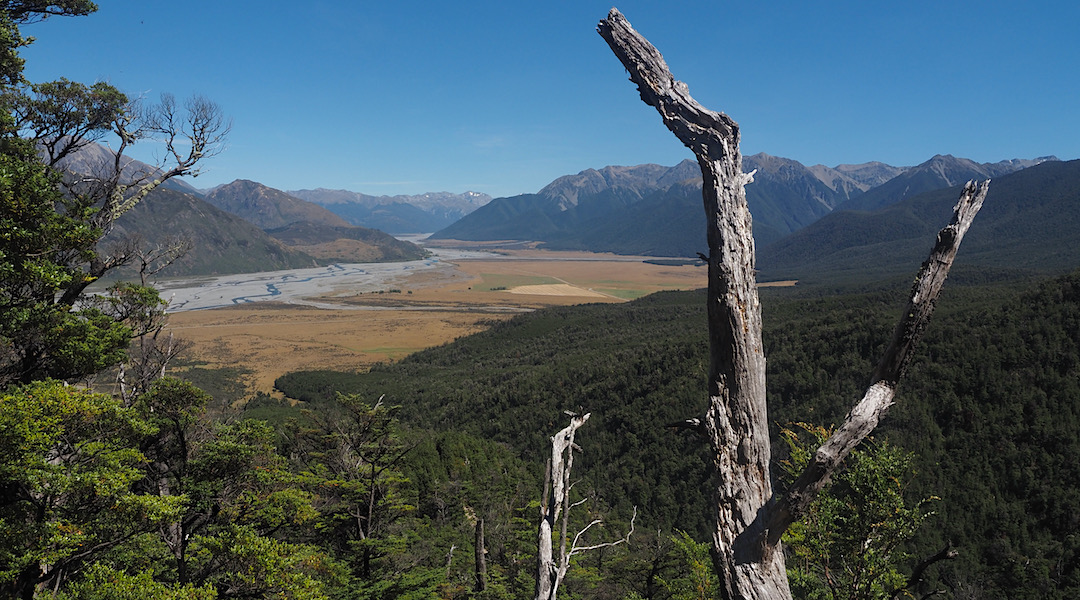 View up the Waimakariri River coming down from Binser Saddle. | Day 6 Arthurs Pass tramp, February 2021