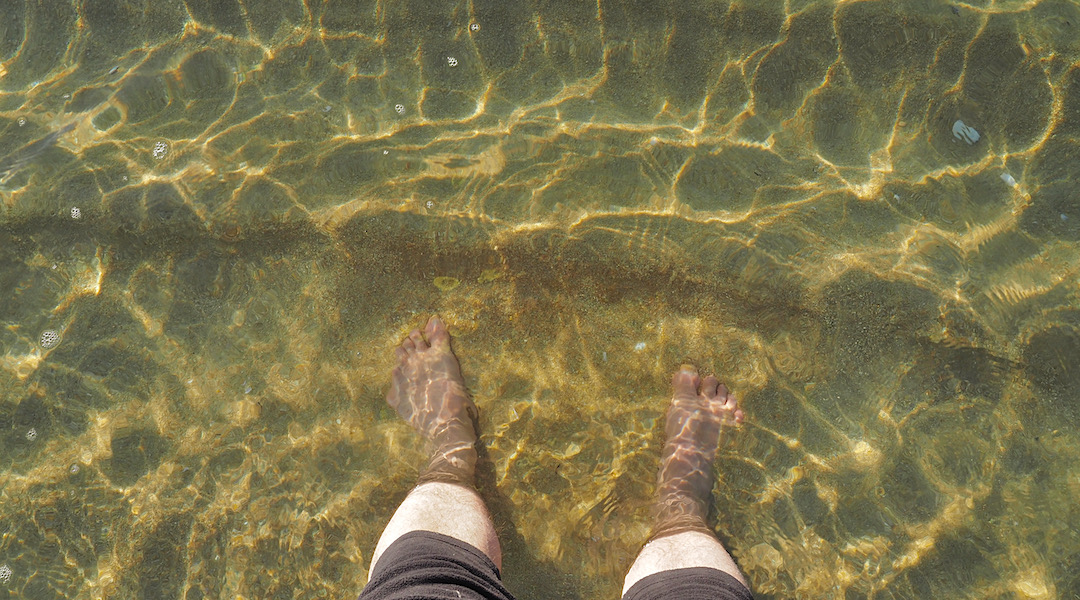 Bark Bay beach, Abel Tasman National Park