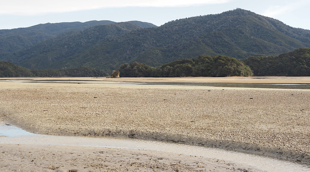 Awaroa Estuary low tide crossing, Abel Tasman National Park