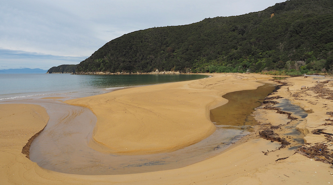 The golden sand of Onetahuti Beach. Coastal Track, Abel Tasman National Park