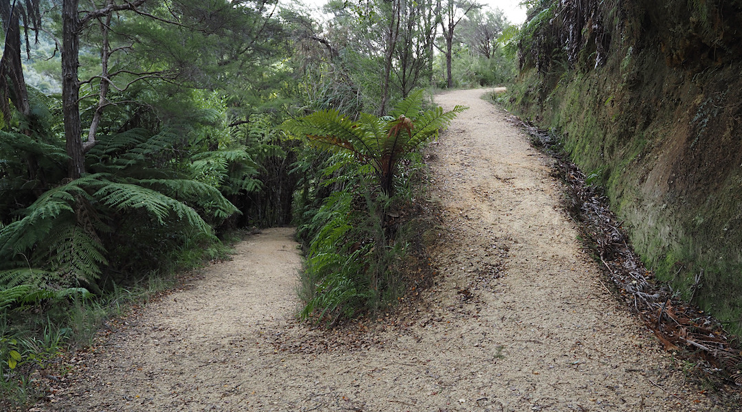Coastal Track, Abel Tasman National Park