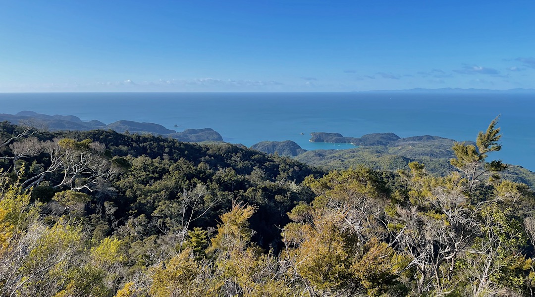 the Inland Track looking over Anchorage to D'Urville Island. |  Abel Tasman National Park