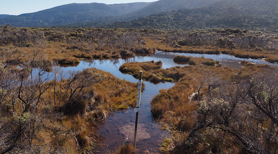 Don't make a beeline for the next marker. Skirt the bottomless mud. | Southern Circuit, Rakiura National Park
