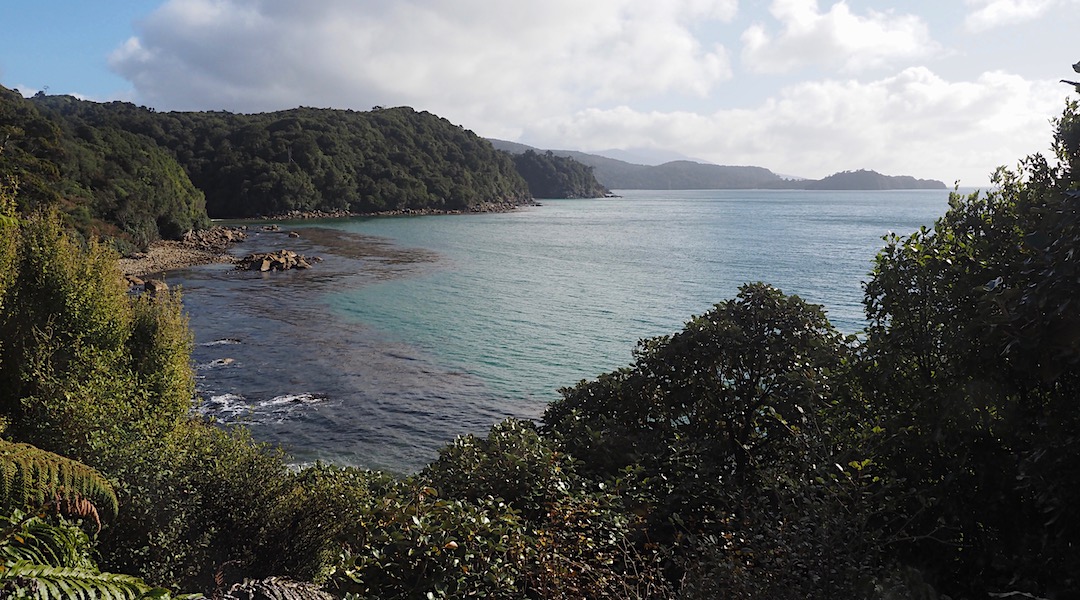 Just starting out near Lee Bay. | Northwest Circuit, Rakiura National Park